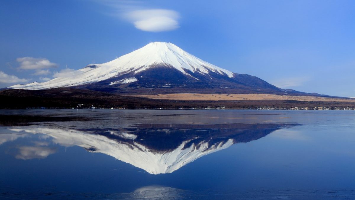 日本のお正月といえば「お年玉」と「お正月飾り」！外国にも似たような風習があるんです！