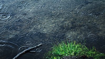 【雨降って地固まる】天気のつく英語の「ことわざ」4選を徹底分析！