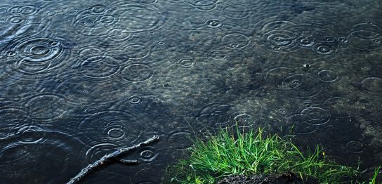 【雨降って地固まる】天気のつく英語の「ことわざ」4選を徹底分析！