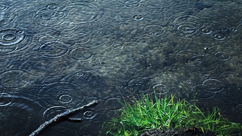 【雨降って地固まる】天気のつく英語の「ことわざ」4選を徹底分析！
