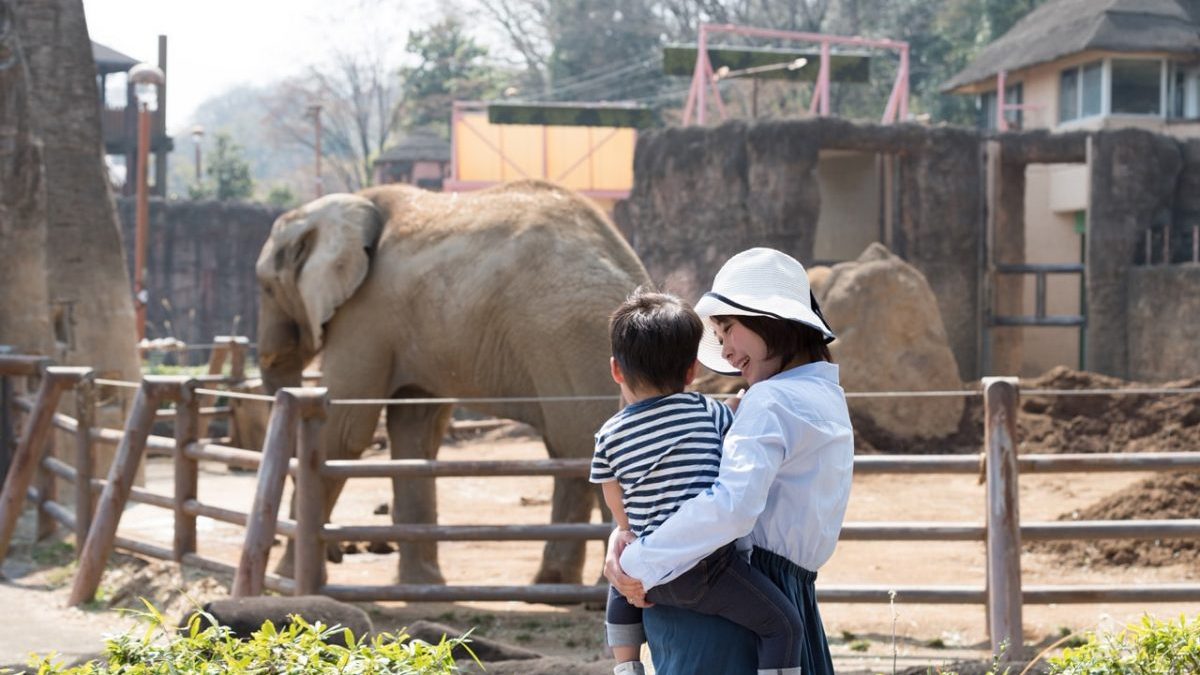 「動物園」を英語なんて言うの？