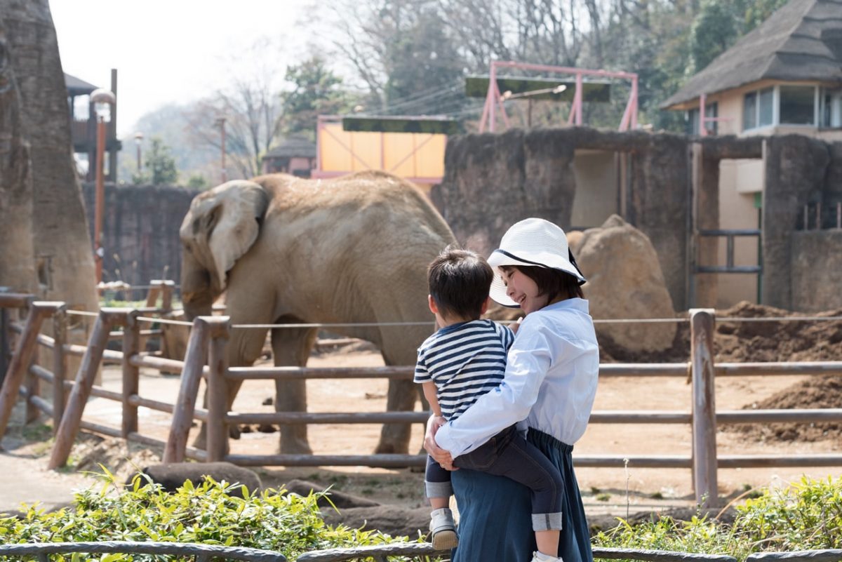 英語で何て言う?「動物園」を英語で学ぼう!
