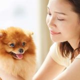 「dog」に関する英語