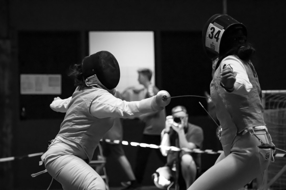 fencing-4297989_1920.jpg