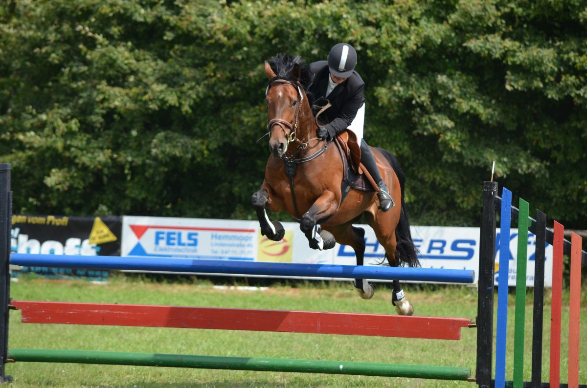 オリンピックの馬術競技を見て英語を学ぶための方法