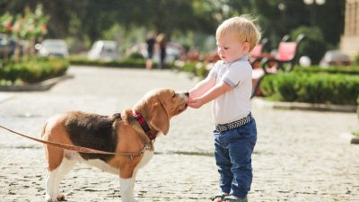 3歳までの成長目安と言語のアプローチ