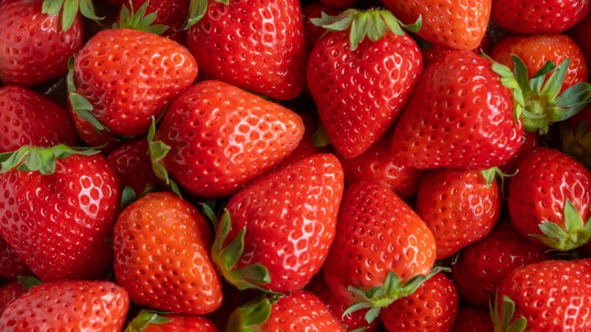 【豆知識】「いちご」にはstrawberry以外の言い方もあった！花言葉も紹介♪