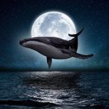 「鯨（くじら）」の英語はwhaleで本当にいいの？目指せクジラマスター！