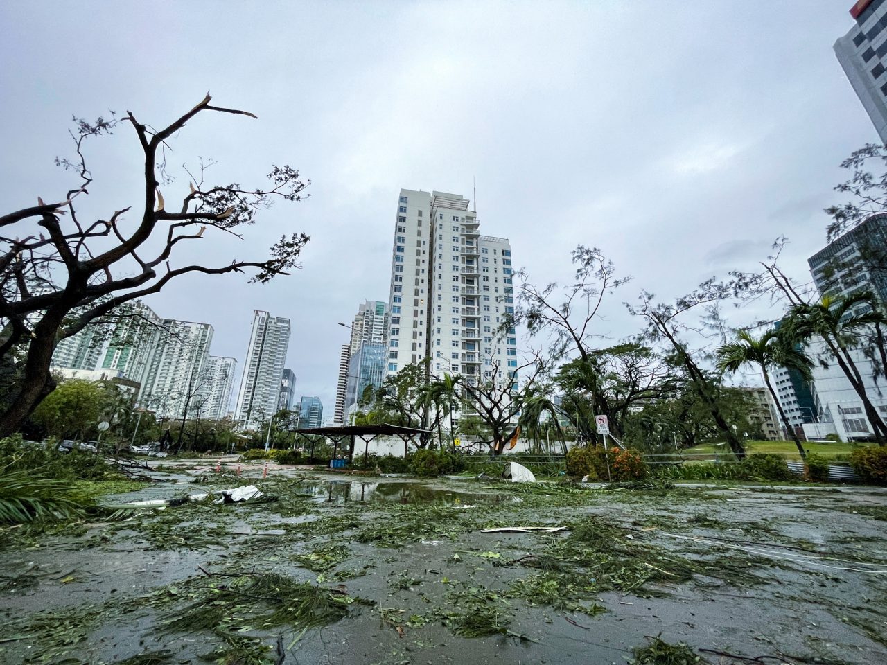 台風被害とその後のレッスン