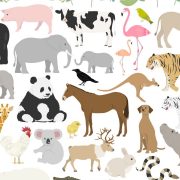 英語で動物、どのくらい言える？