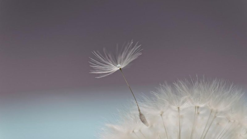 完全網羅版｜英語で5種類の『軽い』を表現しよう！≪実はlightがかなり万能≫