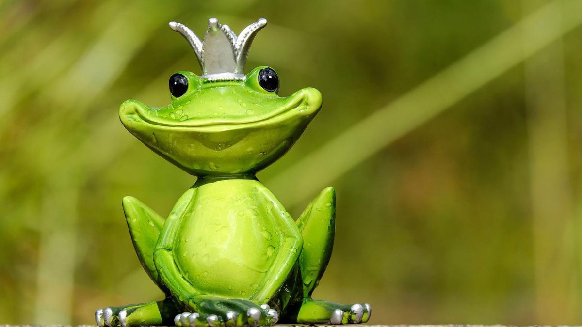 カエル」って英語で何て言う？「井の中の蛙」「カエルの子はカエル」も解説！| Kimini英会話