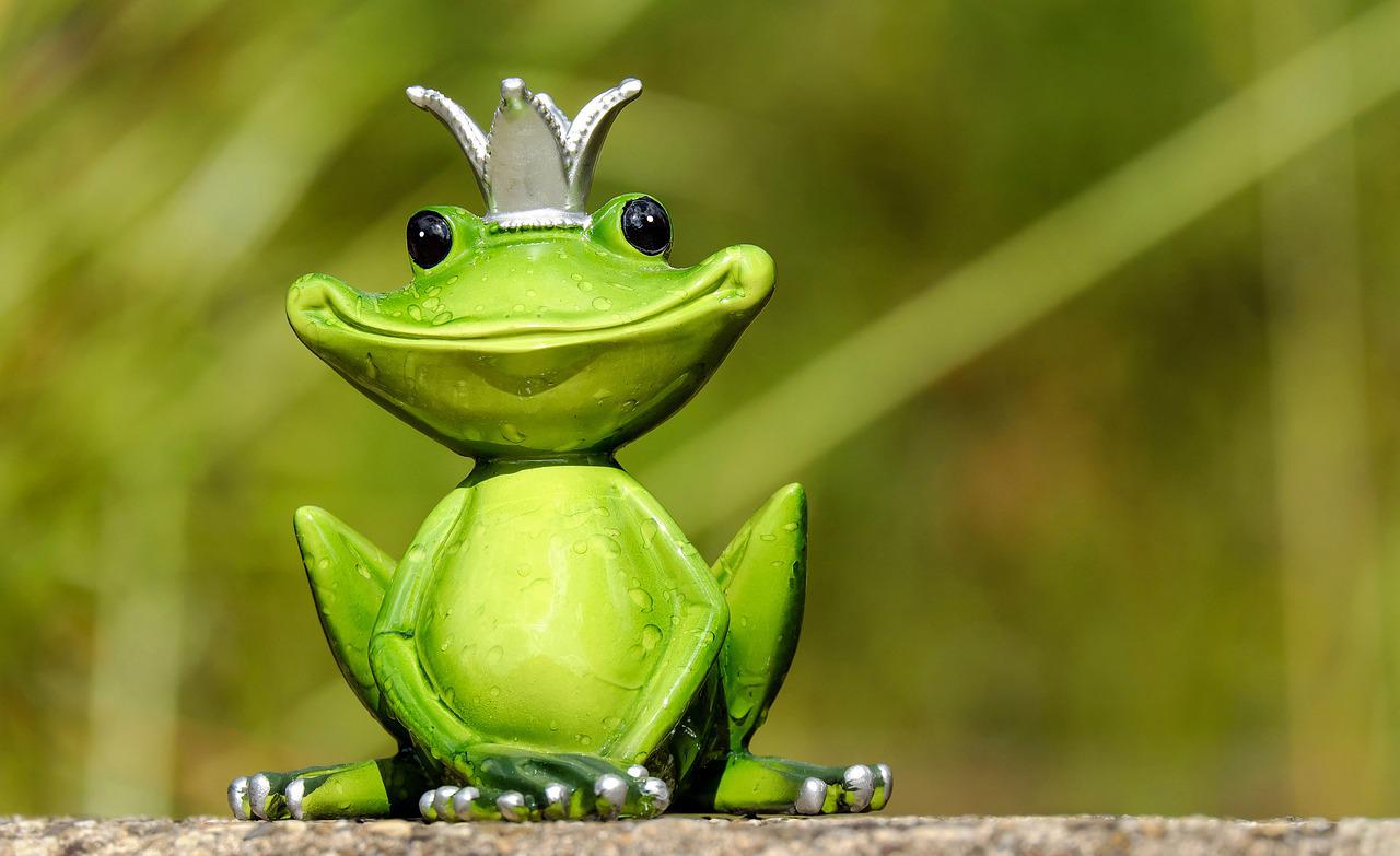 「カエル」って英語で何て言う？frogとtoadの違いや鳴き声について解説！
