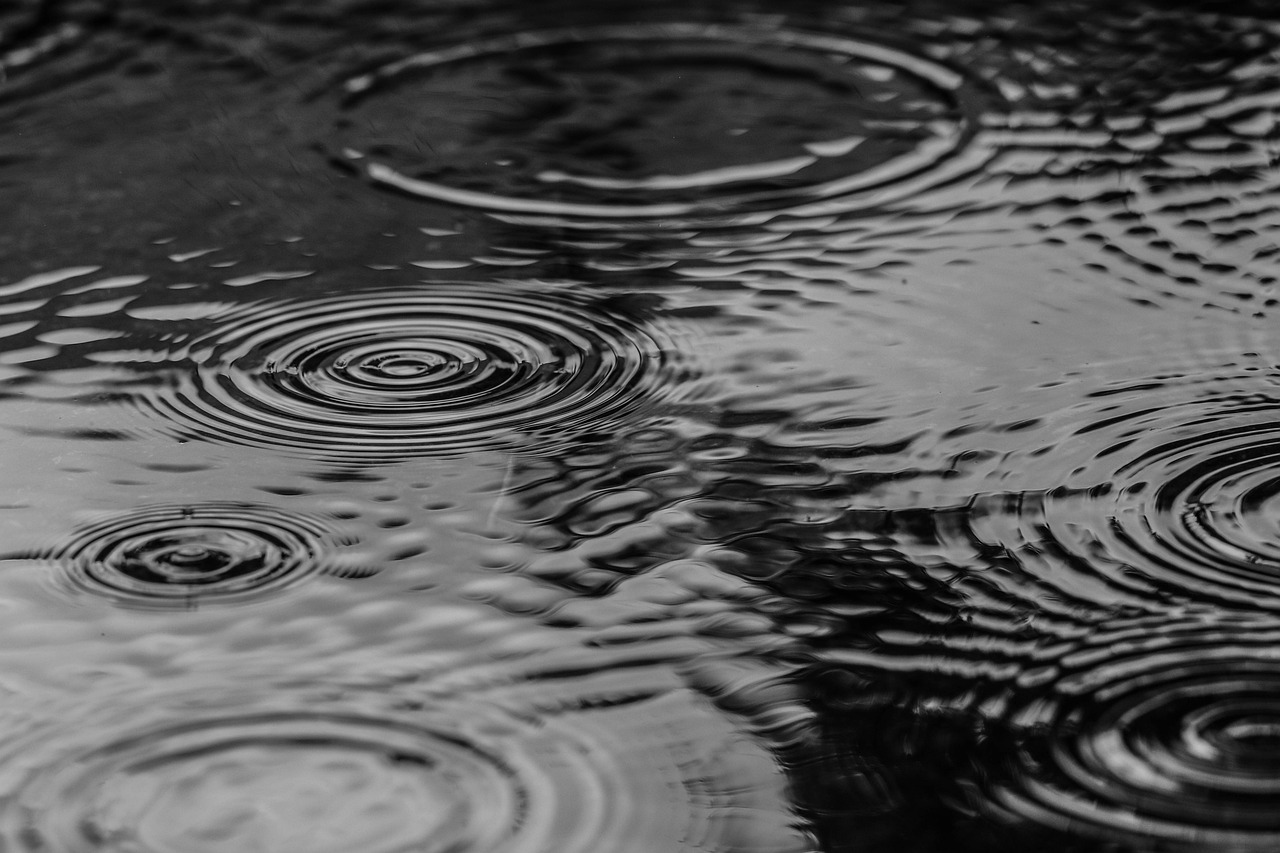 そもそも「梅雨」って海外にもある？