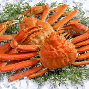 【カニ】は英語で何？タラバ・ズワイ・毛蟹など。世界のカニ料理も紹介！