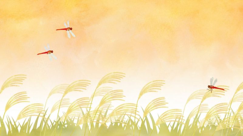 「トンボ」を英語で言うと？昆虫の成長の表現について徹底解説！