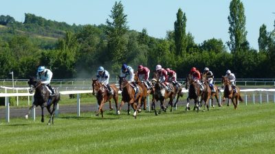 「競馬」は英語で何て言う？競走馬などの関連語も紹介