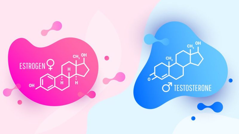 「女性ホルモン」を英語で何？「幸せホルモン」「焼肉のホルモン」も紹介