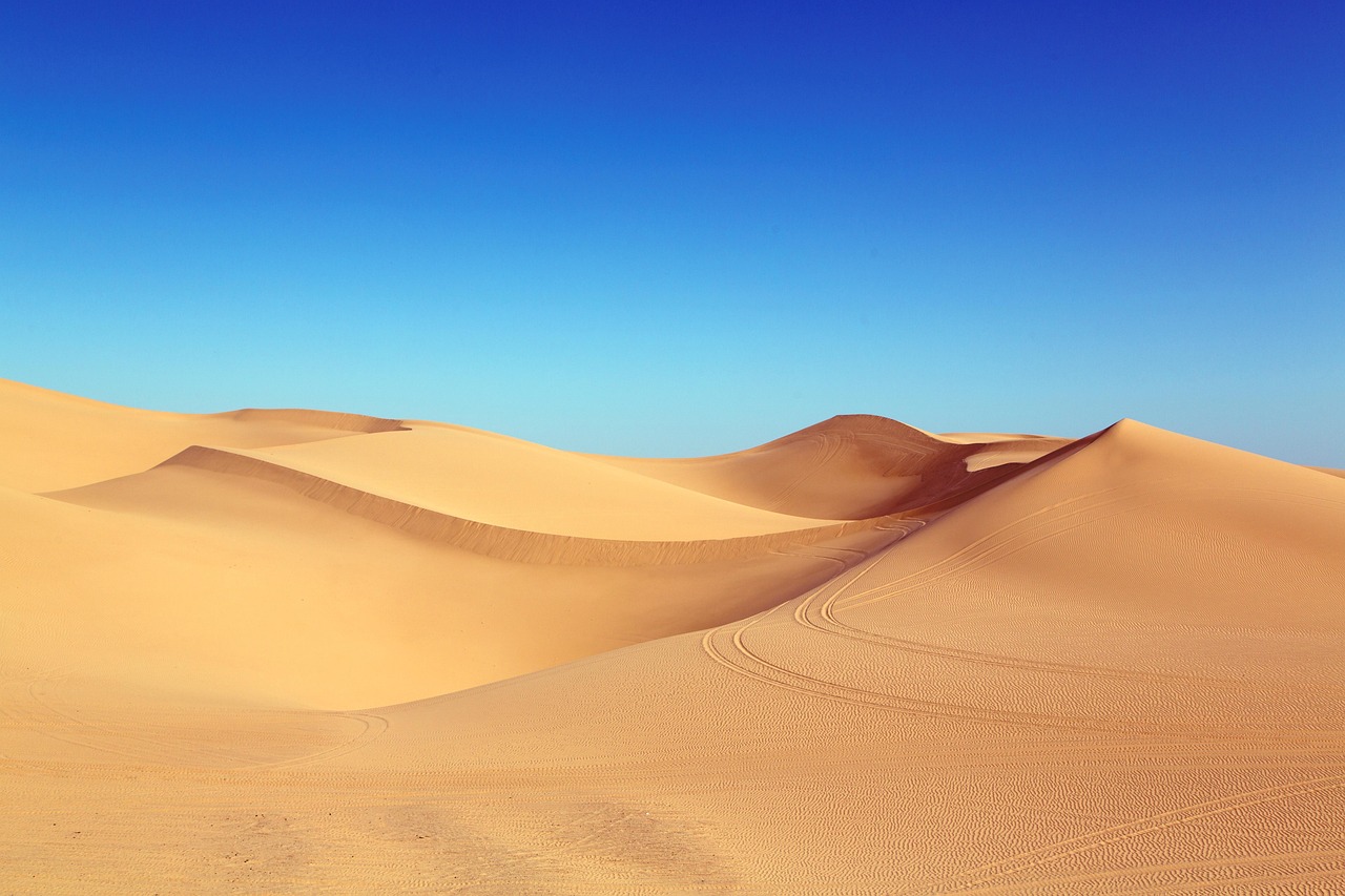 「砂丘と砂漠」の英語