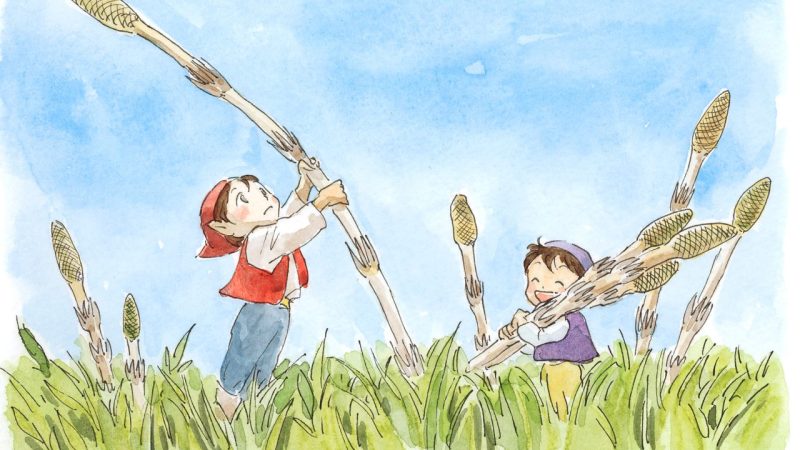 「小人」は英語で何て言う？”dwarf””elves”の意味・妖精も紹介