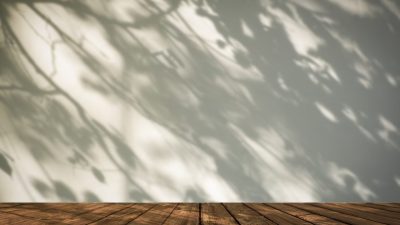 影と陰の英語って？shadowとshadeの違いを知って正しく使い分けをしよう