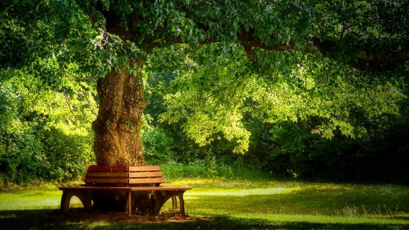 「公園に行く！」は英語で何と言う？定番の遊具やロンドンの美しい公園５選紹介