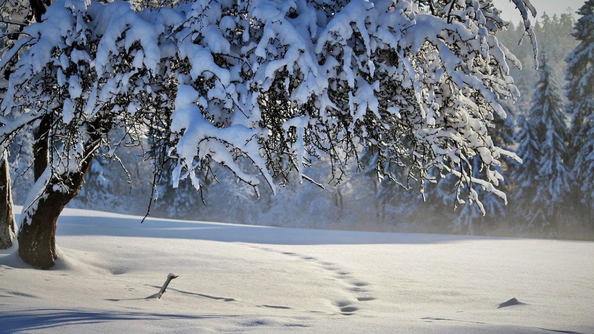 ”snow”の意味は「雪」だけじゃない！「雪が降った・やんだ」初雪や雪崩の英語表現も紹介