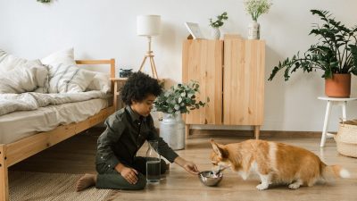 【子育て英語】各国の子どもの動物とのふれあいやペットセラピー