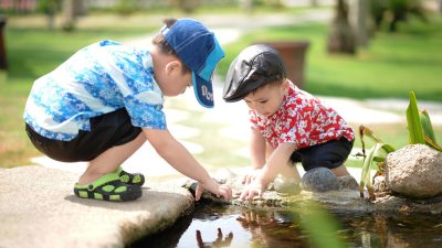 「育成」は英語でなんていう？育成の意味や英語を徹底解説！