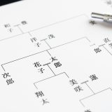 ルーツってどういう意味？英語で何て言う？関連表現もご紹介！