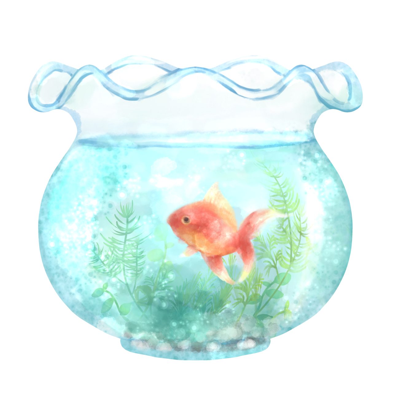 金魚」って英語で何て言うの？金魚すくい、金魚鉢など関連フレーズも
