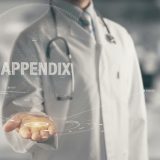 appendixの意味とは？添えられた付録、大腸についている虫垂を表す英語を紹介