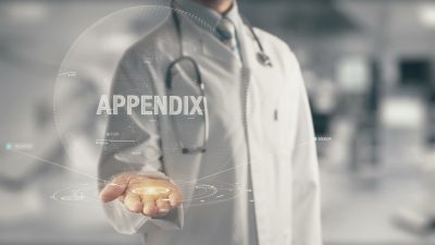 appendixの意味とは？添えられた付録、大腸についている虫垂を表す英語を紹介