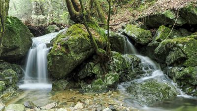 “Cascade”の意味は何？ビジネスのカスケードについても紹介