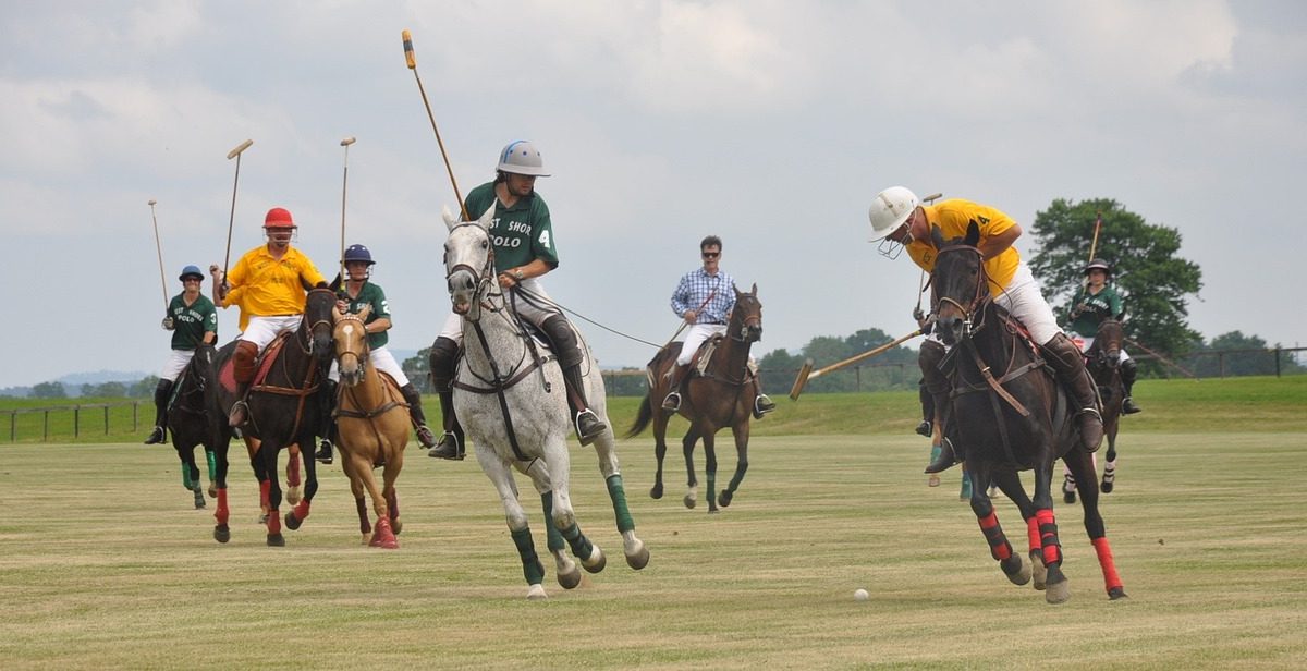 子どもにも人気の各国のスポーツ｜アルゼンチン「ポロ ”Polo”」