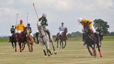 子どもにも人気の各国のスポーツ｜アルゼンチン「ポロ ”Polo”」