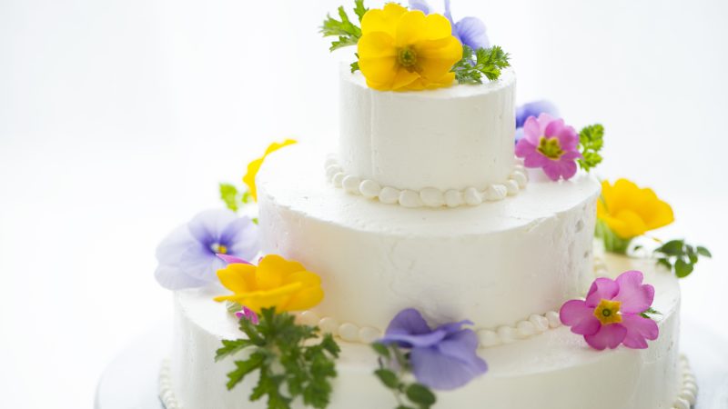 【tier】の意味とは？「階層」を表す表現、自動車業界のTier1、Tier2、Tier3とは？