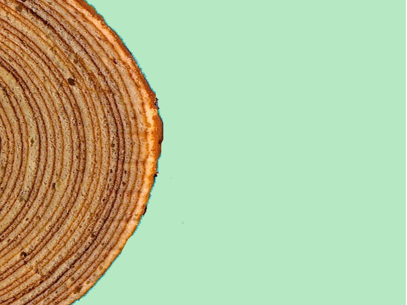 バウムクーヘンの英語