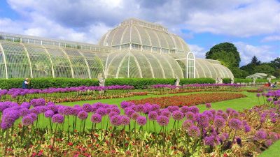 イギリスの世界遺産【キュー王立植物園】の英語。世界でもっとも重要なロンドンの植物園を紹介