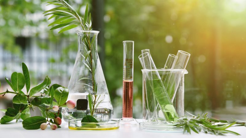 extractの意味とは？基本的な使い方から類語・対義語なども解説！