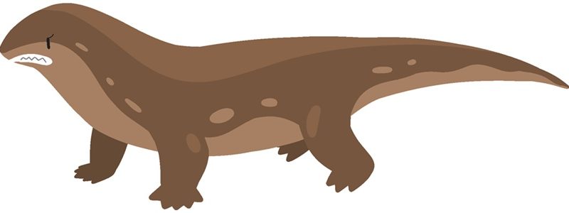 メガラニアが絶滅した理由とは？地上最大級の巨大トカゲの生態を英語で解説
