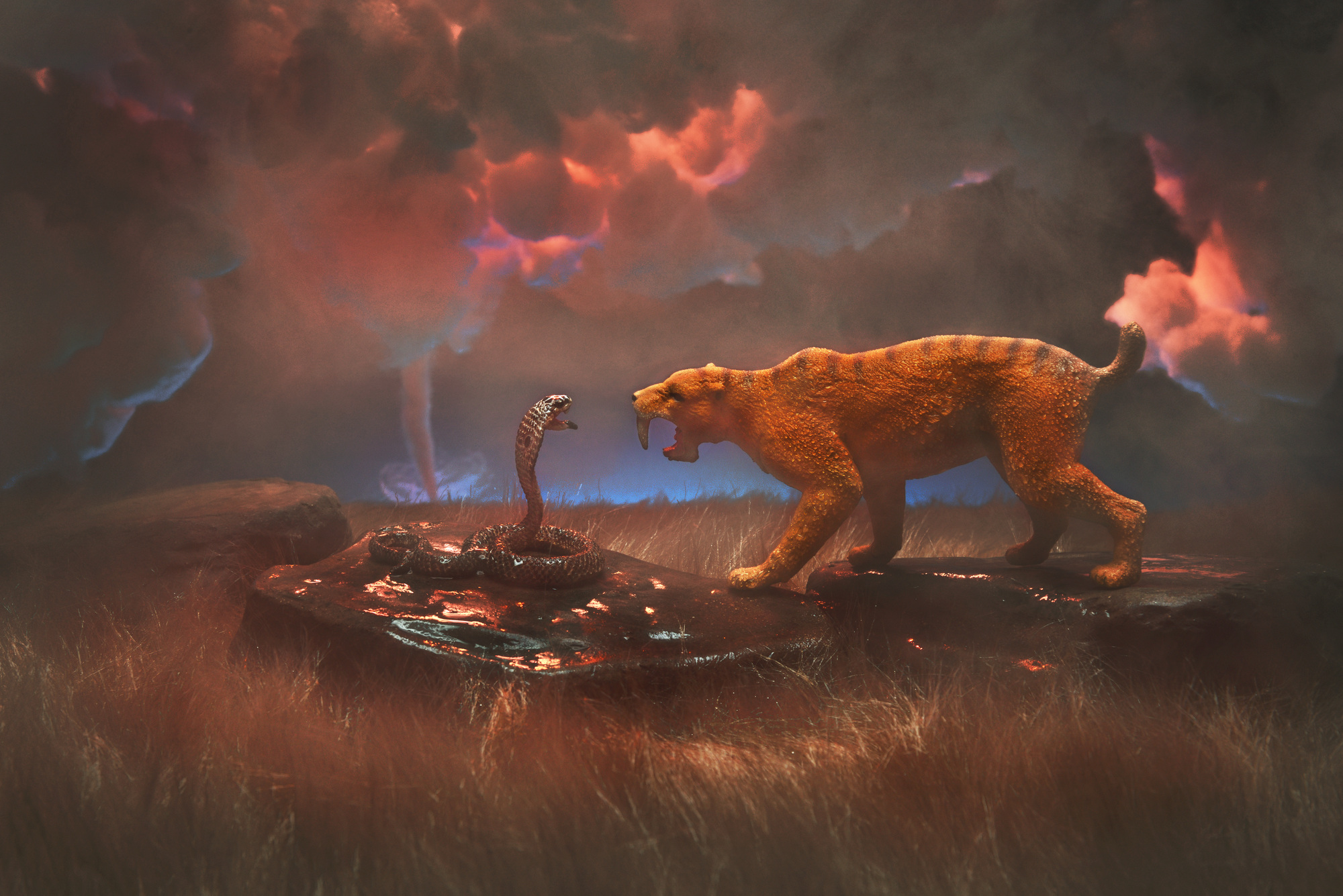 スミロドンとは？巨大な鋭い牙をもつ虎が絶滅した理由を英語で解説