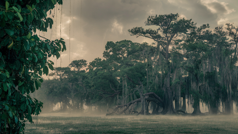 オノマトペ【ジメジメ】は英語でどう表現する？humid and dampの使い方を解説