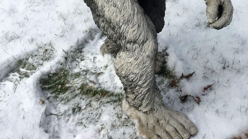 【ビッグフットは妖怪か？】未確認生物（UMA）と日本の猿鬼、山童を比較して英語で解説