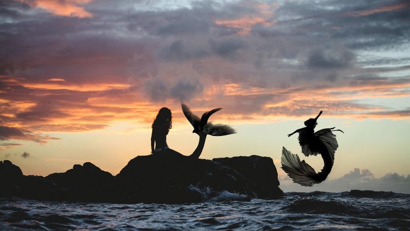 マーメイドを英語で紹介。mermaidの容姿やアンデルセン童話、日本の人魚も解説