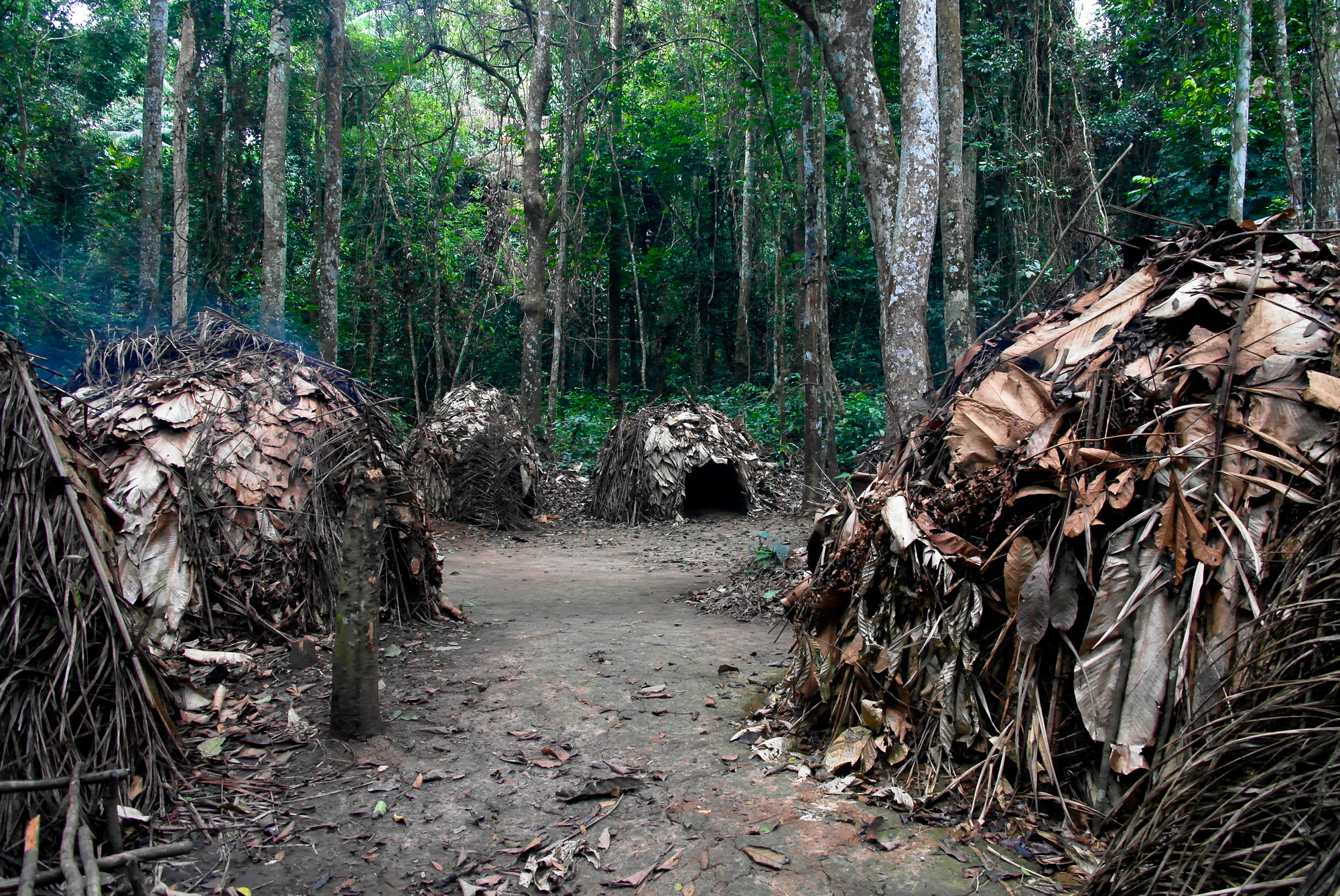保護区で暮らすバカ・ピグミー族