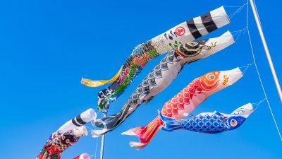 「鯉」を英語で何て言う？こいのぼりや鯉を使った慣用句・ことわざも解説！