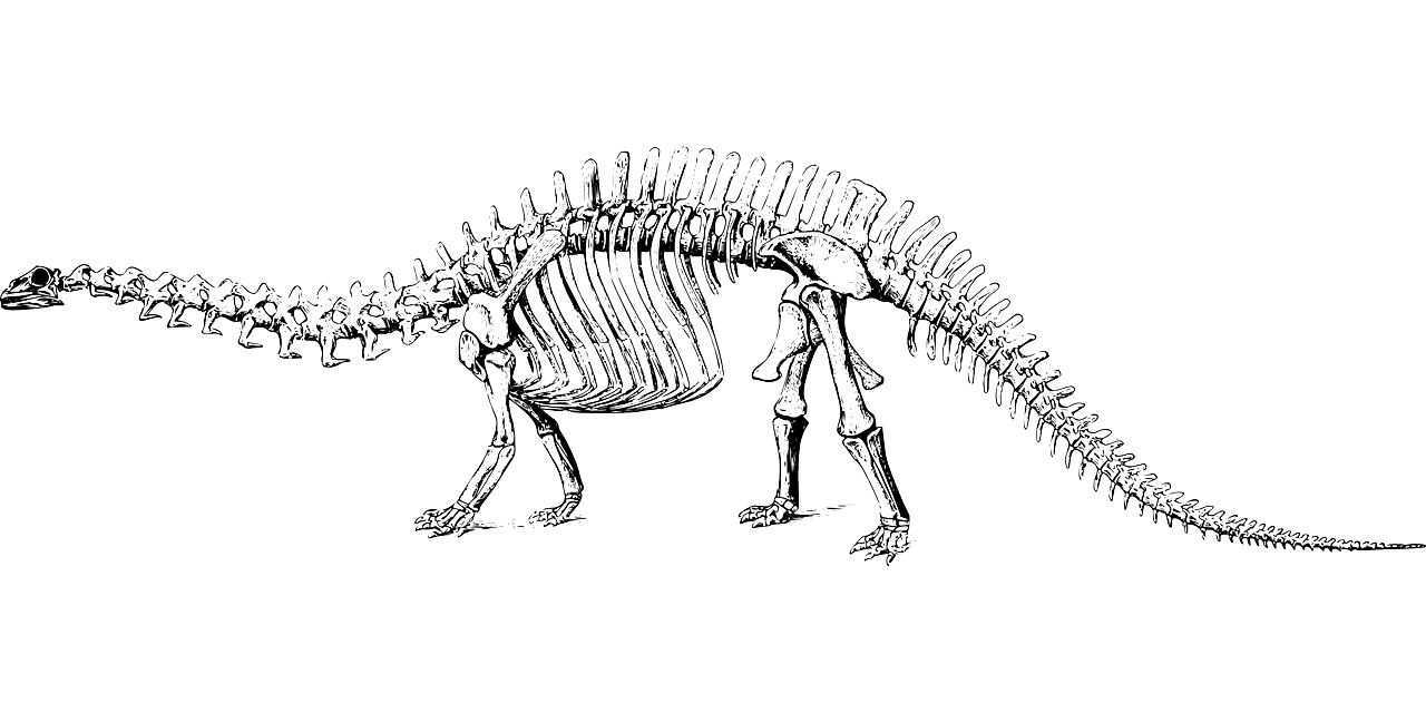 アルゼンチノサウルスに関する英単語・フレーズ集