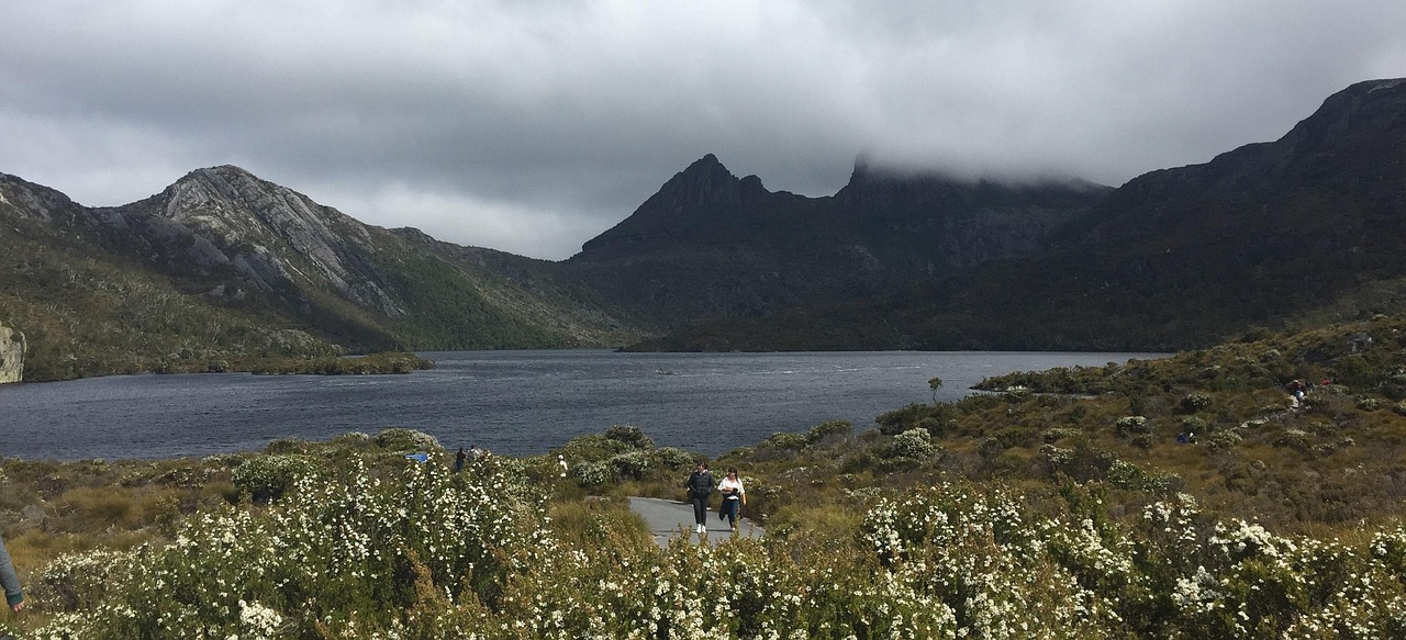 現代のエコツーリズムとの関係 Relationship with Contemporary Ecotourism