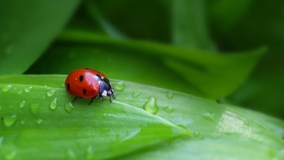 「観察する」を英語で何て言う？observeの意味や「観察」を使った用語も解説！